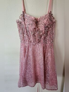 Windsor Sparkling Blush Sequin Beaded Dress Corset Adjustable Back Tags Attached